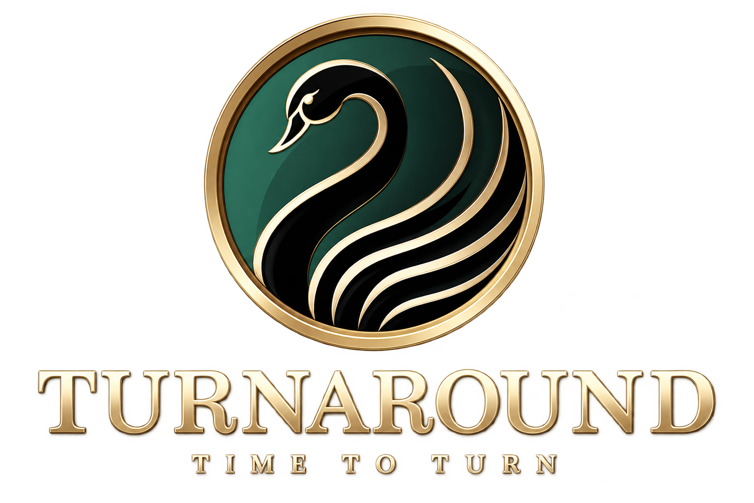 Logo Turn-Around